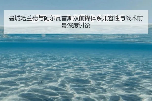 曼城哈兰德与阿尔瓦雷斯双前锋体系兼容性与战术前景深度讨论