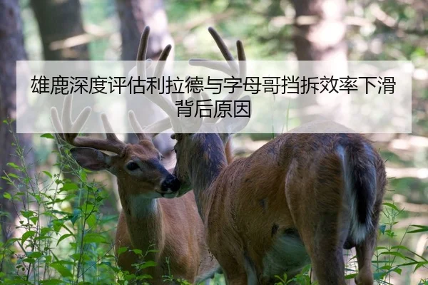 雄鹿深度评估利拉德与字母哥挡拆效率下滑背后原因